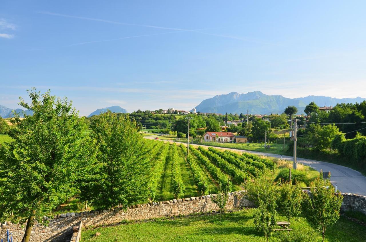 Agriturismo Borgo Floreani Vendoglio Buitenkant foto
